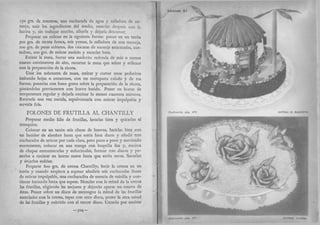 Recetas de doña petrona