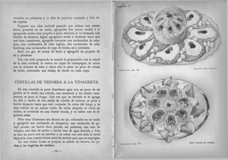 Recetas de doña petrona