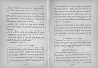 Recetas de doña petrona