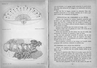 Recetas de doña petrona