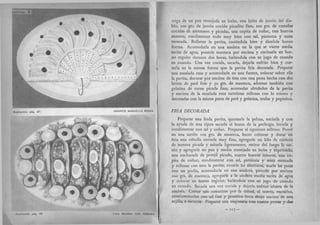 Recetas de doña petrona
