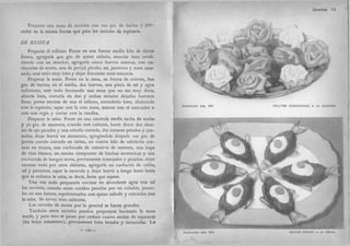 Recetas de doña petrona