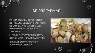 SE PREPARA ASÍ:

• EN UNA CAZUELA, DISPÓN UN PAR
  DE RODAJAS DE LIMÓN Y LAS HOJAS
  DE LAUREL. AHORA VIERTE LOS
  BERBERECHOS Y COLOCA LA
  TAPADERA.
• LLEVA AL FUEGO Y COCINA HASTA
  QUE SE ABRAN. UNA VEZ ABIERTOS.
• SÍRVELOS EN UNA FUENTE Y
  ACOMPAÑA CON LIMÓN.
 