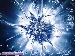 JOSE LUIS LOPEZ CARRETERO
 