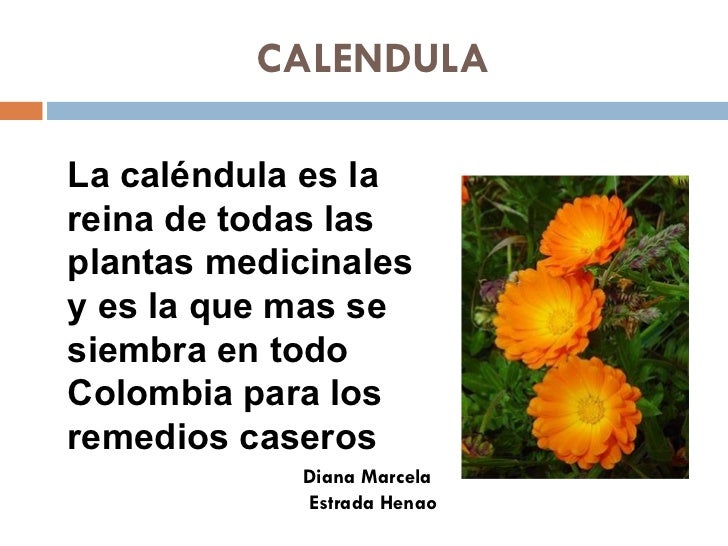 La osteocondrosis y la impotencia a los hombres