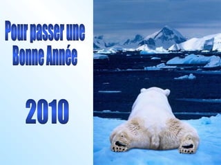 2010 Pour passer une Bonne Année 