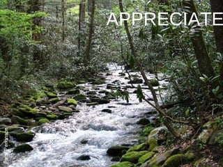 APPRECIATE 