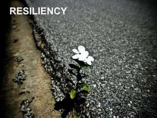 RESILIENCY 