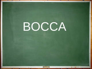 BOCCA 