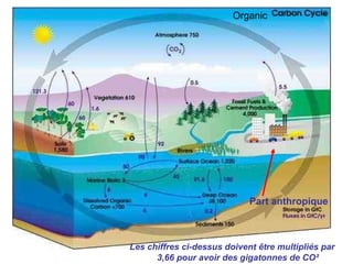 Part anthropique Les chiffres ci-dessus doivent être multipliés par  3,66 pour avoir des gigatonnes de CO² Organic  
