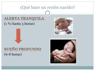 ¿Qué hace un recién nacido? 