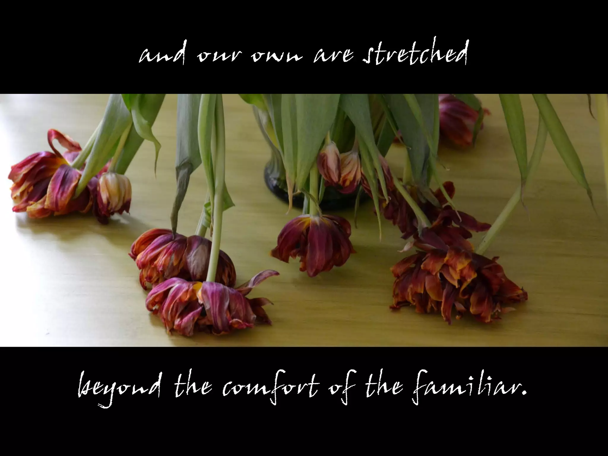 and our own are stretched




beyond the comfort of the familiar.
 