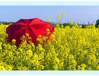 "Recherche 2014": Tipps für die PR-Arbeit