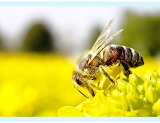 "Recherche 2014": Tipps für die PR-Arbeit