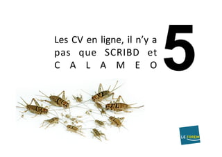 Les	CV	en	ligne,	il	n’y	a	
pas	 que	 SCRIBD	 et	
C A L A M E O	
 