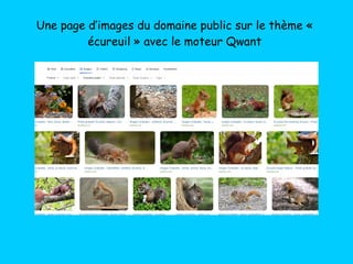 Une page d’images du domaine public sur le thème « 
écureuil » avec le moteur Qwant
 
