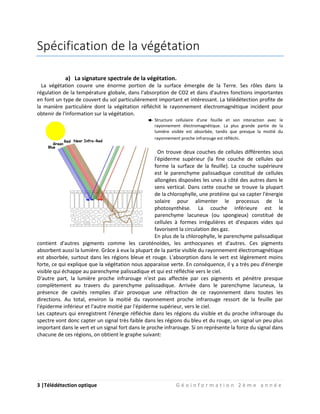 3 |Télédétection optique G é o i n f o r m a t i o n 2 è m e a n n é e
Spécification de la végétation
a) La signature spectrale de la végétation.
La végétation couvre une énorme portion de la surface émergée de la Terre. Ses rôles dans la
régulation de la température globale, dans l'absorption de CO2 et dans d'autres fonctions importantes
en font un type de couvert du sol particulièrement important et intéressant. La télédétection profite de
la manière particulière dont la végétation réfléchit le rayonnement électromagnétique incident pour
obtenir de l'information sur la végétation.
Structure cellulaire d'une feuille et son interaction avec le
rayonnement électromagnétique. La plus grande partie de la
lumière visible est absorbée, tandis que presque la moitié du
rayonnement proche infrarouge est réfléchi.
On trouve deux couches de cellules différentes sous
l'épiderme supérieur (la fine couche de cellules qui
forme la surface de la feuille). La couche supérieure
est le parenchyme palissadique constitué de cellules
allongées disposées les unes à côté des autres dans le
sens vertical. Dans cette couche se trouve la plupart
de la chlorophylle, une protéine qui va capter l'énergie
solaire pour alimenter le processus de la
photosynthèse. La couche inférieure est le
parenchyme lacuneux (ou spongieux) constitué de
cellules à formes irrégulières et d'espaces vides qui
favorisent la circulation des gaz.
En plus de la chlorophylle, le parenchyme palissadique
contient d'autres pigments comme les caroténoïdes, les anthocyanes et d'autres. Ces pigments
absorbent aussi la lumière. Grâce à eux la plupart de la partie visible du rayonnement électromagnétique
est absorbée, surtout dans les régions bleue et rouge. L'absorption dans le vert est légèrement moins
forte, ce qui explique que la végétation nous apparaisse verte. En conséquence, il y a très peu d'énergie
visible qui échappe au parenchyme palissadique et qui est réfléchie vers le ciel.
D'autre part, la lumière proche infrarouge n'est pas affectée par ces pigments et pénètre presque
complètement au travers du parenchyme palissadique. Arrivée dans le parenchyme lacuneux, la
présence de cavités remplies d'air provoque une réfraction de ce rayonnement dans toutes les
directions. Au total, environ la moitié du rayonnement proche infrarouge ressort de la feuille par
l'épiderme inférieur et l'autre moitié par l'épiderme supérieur, vers le ciel.
Les capteurs qui enregistrent l'énergie réfléchie dans les régions du visible et du proche infrarouge du
spectre vont donc capter un signal très faible dans les régions du bleu et du rouge, un signal un peu plus
important dans le vert et un signal fort dans le proche infrarouge. Si on représente la force du signal dans
chacune de ces régions, on obtient le graphe suivant:
 