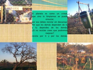 Biodegradables no putrescibles 