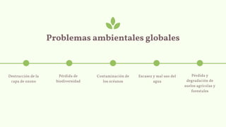 Destrucción de la
capa de ozono
Pérdida de
biodiversidad
Contaminación de
los océanos
Escasez y mal uso del
agua
Pérdida y
degradación de
suelos agrícolas y
forestales
Problemas ambientales globales
 