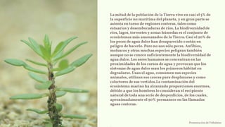La mitad de la población de la Tierra vive en casi el 5% de
la superficie no marítima del planeta, y en gran parte se
asienta en torno de regiones costeras, tales como
estuarios y desembocaduras de ríos. La biodiversidad de
ríos, lagos, torrentes y zonas húmedas es el conjunto de
ecosistemas más amenazados de la Tierra. Casi el 20% de
los peces de agua dulce han desaparecido o están en
peligro de hacerlo. Pero no son sólo peces. Anfibios,
moluscos y otras muchas especies peligran también
aunque no se conoce suficientemente la biodiversidad de
agua dulce. Los seres humanos se concentran en las
proximidades de los cursos de agua y provocan que los
sistemas de agua dulce sean los primeros hábitat en
degradarse. Usan el agua, consumen sus especies
animales, utilizan sus cauces para desplazarse y como
colectores de sus vertidos.La contaminación del
ecosistema marino ha alcanzado proporciones enormes,
debido a que los hombres lo consideran el recipiente
natural de toda una serie de desperdicios, de los cuales,
aproximadamente el 90% permanece en las llamadas
aguas costeras.
Presentación de Tribalstar
 