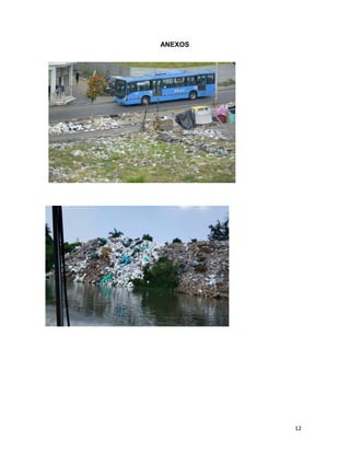 12
ANEXOS
 