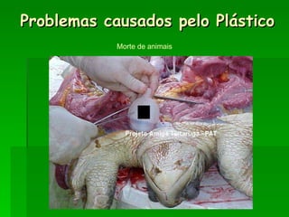 Problemas causados pelo Plástico Morte de animais 