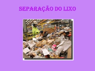 Separação do lixo 
