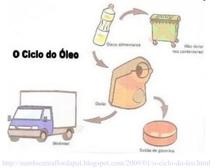 http://oambienteaflordapel.blogspot.com/2009/01/o-ciclo-do-leo.html
 