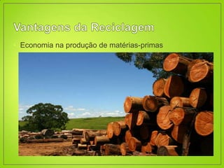 • Economia na produção de matérias-primas
 