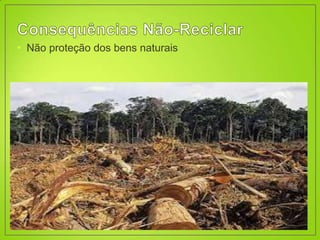 • Não proteção dos bens naturais
 