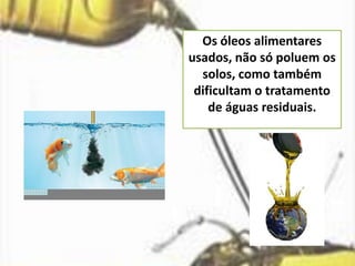 Os óleos alimentares
usados, não só poluem os
solos, como também
dificultam o tratamento
de águas residuais.