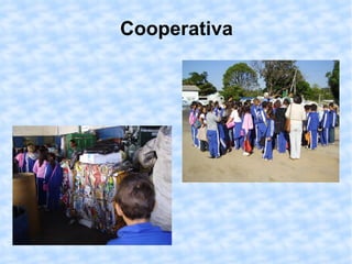 Cooperativa 