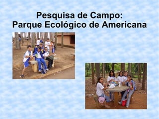 Pesquisa de Campo: Parque Ecológico de Americana 