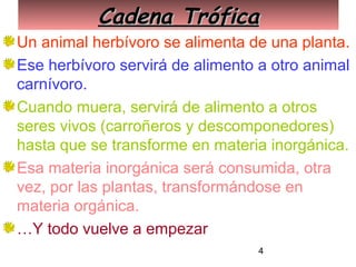 4
Cadena TróficaCadena Trófica
Un animal herbívoro se alimenta de una planta.
Ese herbívoro servirá de alimento a otro animal
carnívoro.
Cuando muera, servirá de alimento a otros
seres vivos (carroñeros y descomponedores)
hasta que se transforme en materia inorgánica.
Esa materia inorgánica será consumida, otra
vez, por las plantas, transformándose en
materia orgánica.
…Y todo vuelve a empezar
 