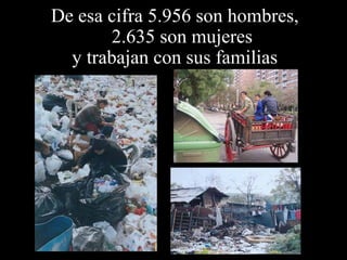 De esa cifra 5.956 son hombres, 
2.635 son mujeres 
y trabajan con sus familias 
 