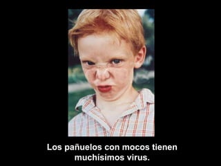 Los pañuelos con mocos tienen 
muchísimos virus. 
 