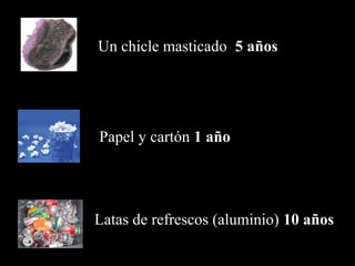 Un chicle masticado 5 años 
Papel y cartón 1 año 
Latas de refrescos (aluminio) 10 años 
 