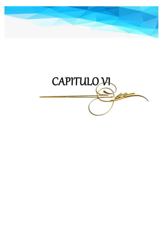 CAPITULO VI
 