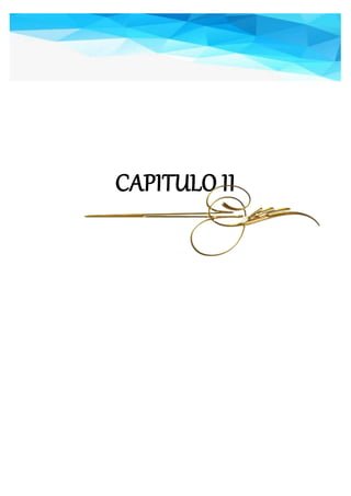 CAPITULO II
 