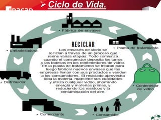 Ciclo de Vida.
 