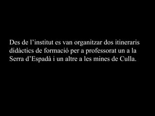 Des de l’institut es van organitzar dos itineraris
didàctics de formació per a professorat un a la
Serra d’Espadà i un altre a les mines de Culla.
 