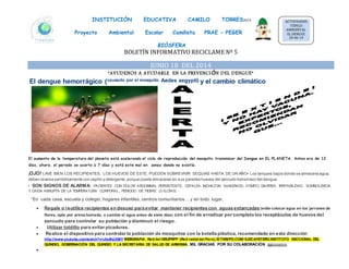 BOLETÍN INFORMATIVO RECICLAME Nº 5
JUNIO 18 DEL 2014
“AYUDENOS A AYUDARLE EN LA PREVENCI ÓN DEL DENGUE”
El dengue hemorrágico (causado por el mosquito Aedes aegypti) y el cambio climático
El aumento de la temperatura del planeta está acelerando el ciclo de reproducción del mosquito transmisor del Dengue en EL PL ANETA. Antes era de 12
días, ahora, el periodo se acorto a 7 días y está este mal en zonas donde no existía.
¡OJO! LAVE BIEN LOS RECIPIENTES, LOS HUEVOS DE ESTE, PUEDEN SOBREVIVIR SEQUIAS HASTA DE UN AÑO• Los tanques bajos donde se almacena agua,
deben lavarse periódicamente con cepillo y detergente,porque puede almacenar en sus paredes huevos del zancudo transmisor del dengue.
• SON SIGNOS DE ALARMA: PACIENTES CON DOLOR ABDOMINAL PERSISTENTE, CEFALEA, INCHAZON, SANGRADO, VOMITO, DIARREA, IRRITABILIDAD, SOMNOLENCIA
Y CAÍDA ABRUPTA DE LA TEMPERATURA CORPORAL, PERIODO DE FIEBRE (3-5) DÍAS.
“En cada casa, escuela y colegio, hogares infantiles, centros comunitarios… y en todo lugar,
 Regale o reutilice recipientes en desuso para evitar mantener recipientes con aguas estancadas (evite colocar agua en los jarrones de
flores, opte por arena húmeda, o cambie el agua antes de siete días) con el fin de erradicar por completo los receptáculos de huevos del
zancudo para controlar su población y disminuir el riesgo.
 Utilizar toldillo para evitar picaduras.
 Realice el dispositivo para controlar la población de mosquitos con la botella plástica, recomendado en esta dirección
http://www.youtube.com/watch?v=JlxdHJ3iBiY WEBGRAFIA. Red del GRUPRPP (Red radial del Perú). El TIEMPO.COM/ EJECAFETERO.INSTITUTO SECCIONAL DEL
QUINDIO, GOBERNACIÓN DEL QUINDÍO Y LA SECRETARIA DE SALUD DE ARMENIA. MIL GRACIAS POR SU COLABORACIÓN ¡¡¡¡¡¡¡¡¡¡¡¡¡¡¡¡

INSTITUCIÓN EDUCATIVA CAMILO TORRES2014
Proyecto Ambiental Escolar Camilista PRAE - PEGER
BIÒSFERA
ACTIVIDADES
TÓPICO
AMBIENTAL
EL DENGUE
18-06-14
 