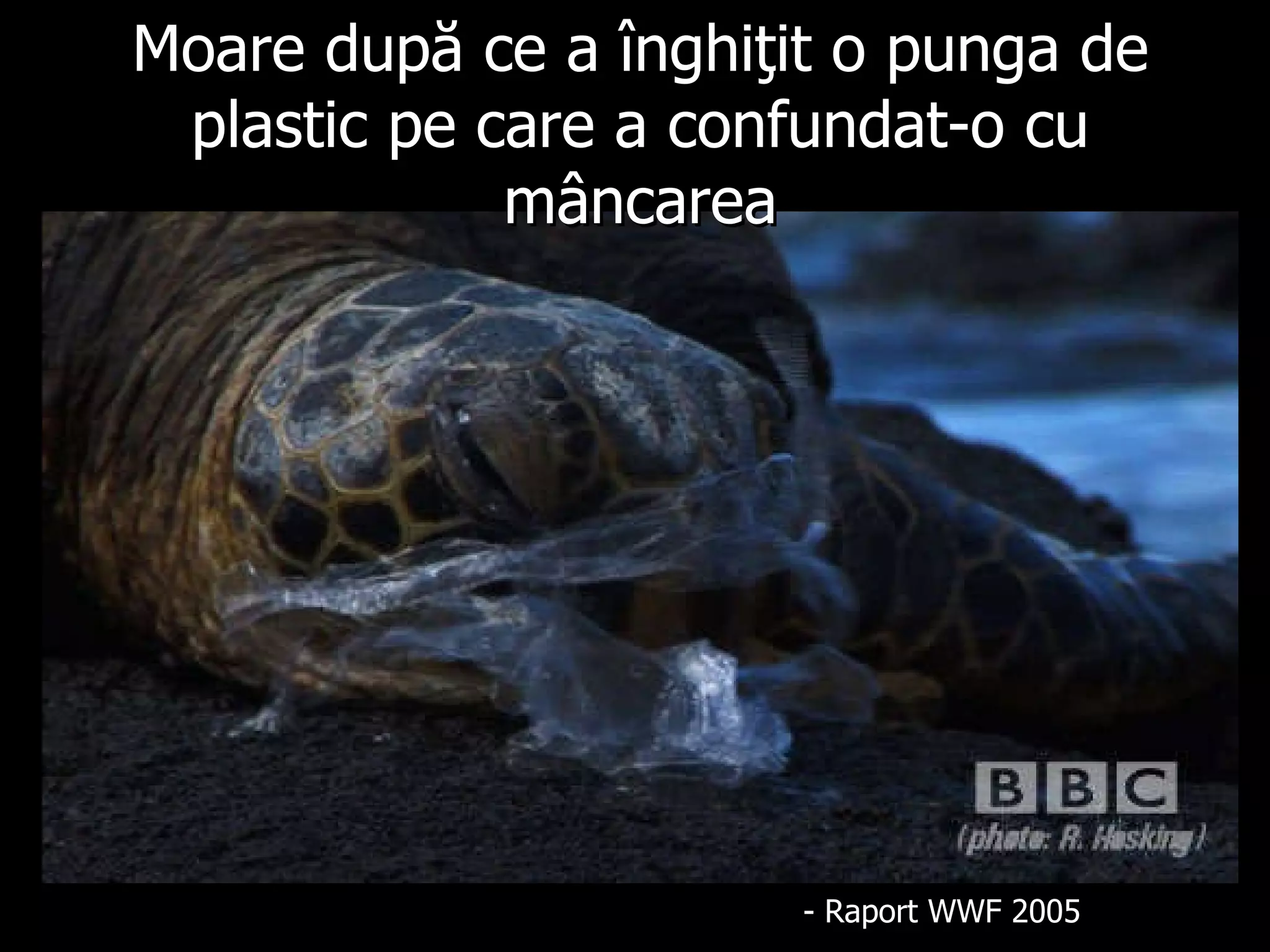 Moare după ce a înghiţit o punga de plastic pe care a confundat-o cu mâncarea - R aport  WWF 2005 
