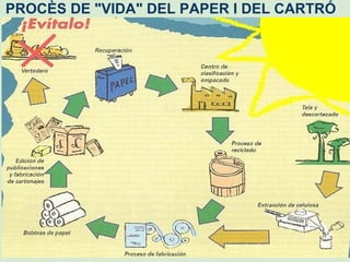   PROCÈS DE &quot;VIDA&quot; DEL PAPER I DEL CARTRÓ 