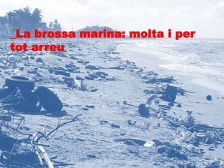 _La brossa marina: molta i per 
tot arreu 
 