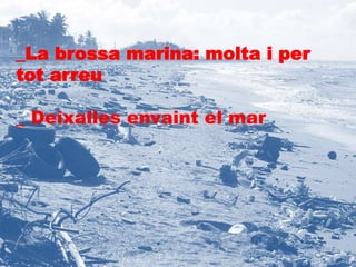 _La brossa marina: molta i per 
tot arreu 
_ Deixalles envaint el mar 
 