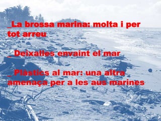 _La brossa marina: molta i per 
tot arreu 
_ Deixalles envaint el mar 
_ Plàstics al mar: una altra 
amenaça per a les aus marines 
 