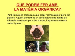 QUÈ PODEM FER AMB
LA MATÈRIA ORGÀNICA?
Amb la matèria orgànica es pot crear “compostatge” per a les
plantes. Aquest element és un adob natural que aporta els
minerals necessaris per a les plantes, i aquestes creixeran
sanes i grans.
 