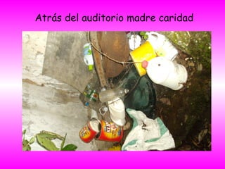 Atrás del auditorio madre caridad
 