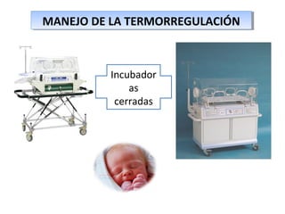 MANEJO DE LA TERMORREGULACIÓNMANEJO DE LA TERMORREGULACIÓN
Incubador
as 
cerradas
 